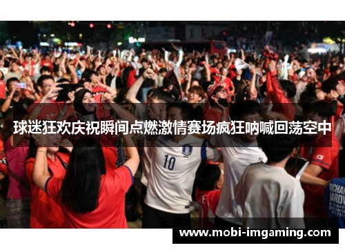 球迷狂欢庆祝瞬间点燃激情赛场疯狂呐喊回荡空中