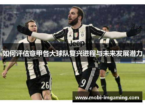 如何评估意甲各大球队复兴进程与未来发展潜力