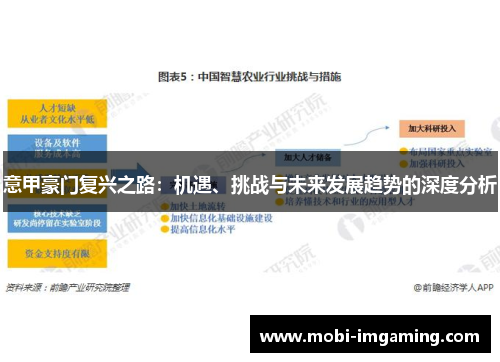 意甲豪门复兴之路：机遇、挑战与未来发展趋势的深度分析