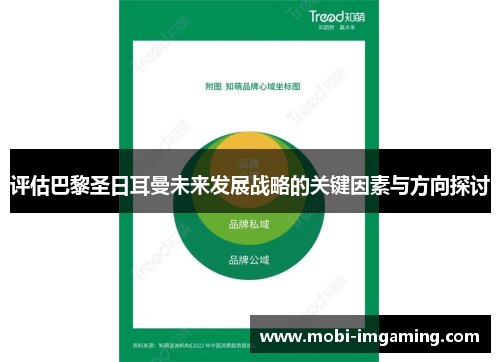 评估巴黎圣日耳曼未来发展战略的关键因素与方向探讨