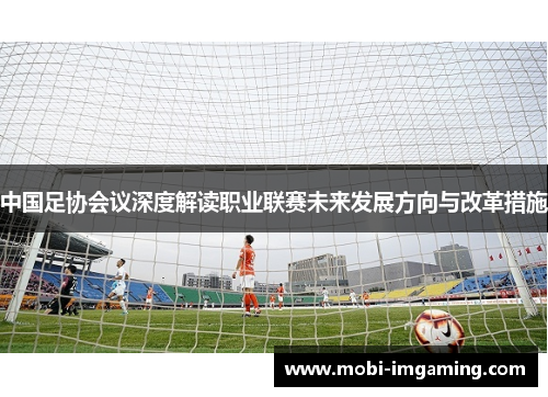 中国足协会议深度解读职业联赛未来发展方向与改革措施