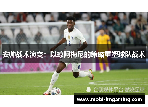 安帅战术演变:以琼阿梅尼的策略重塑球队战术