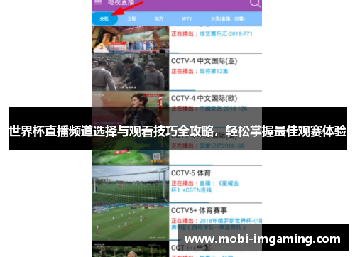 世界杯直播频道选择与观看技巧全攻略,轻松掌握最佳观赛体验